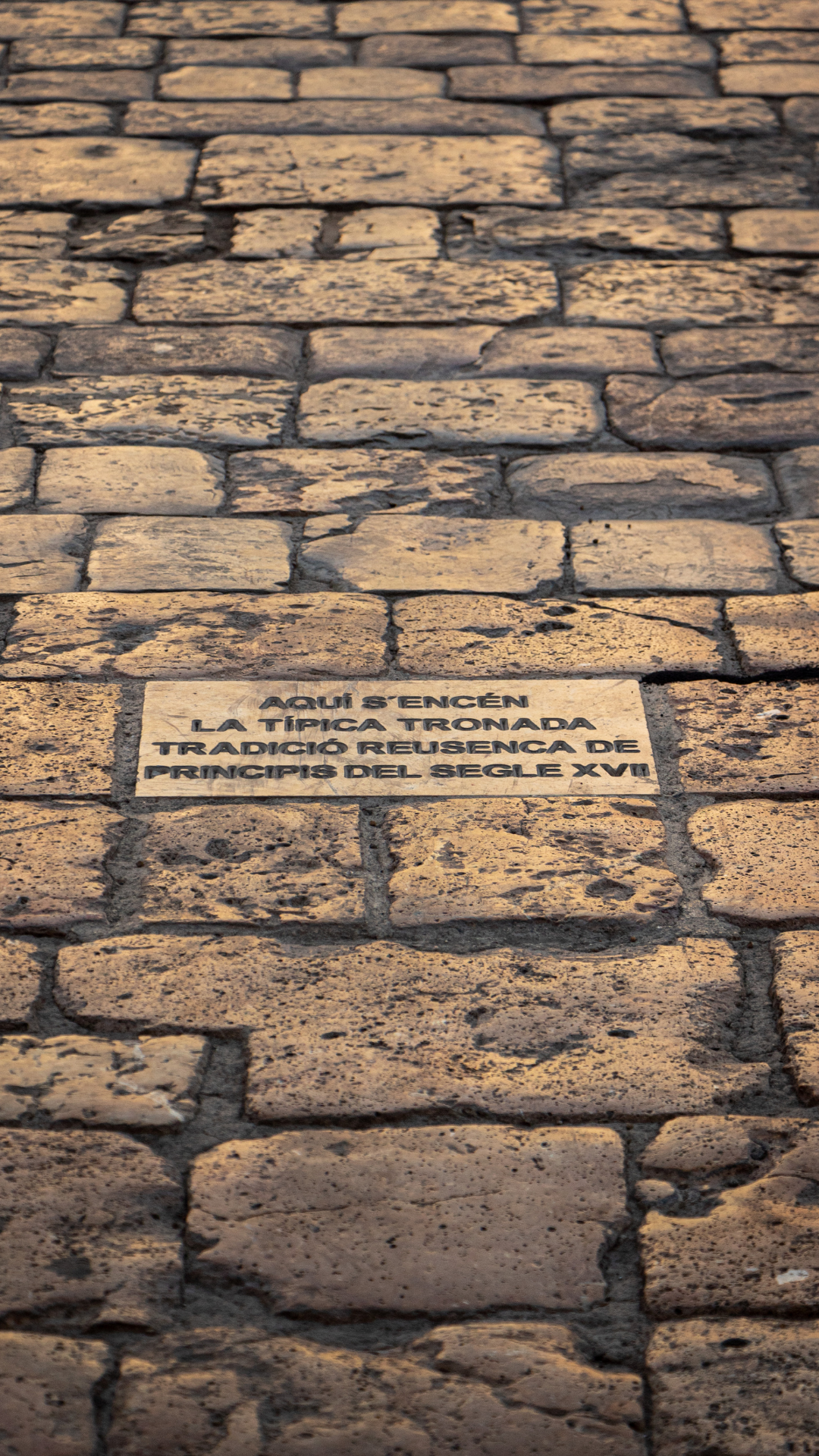 Festes Majors de Reus San Pere