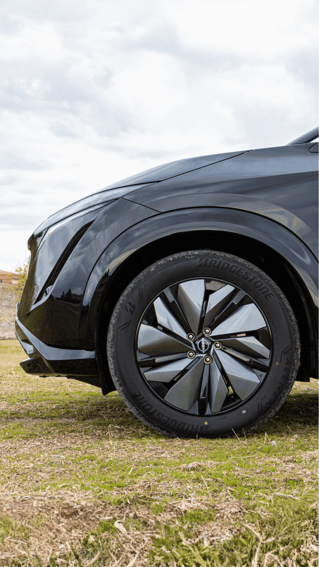 Portfolio Gifs y fotos (2)