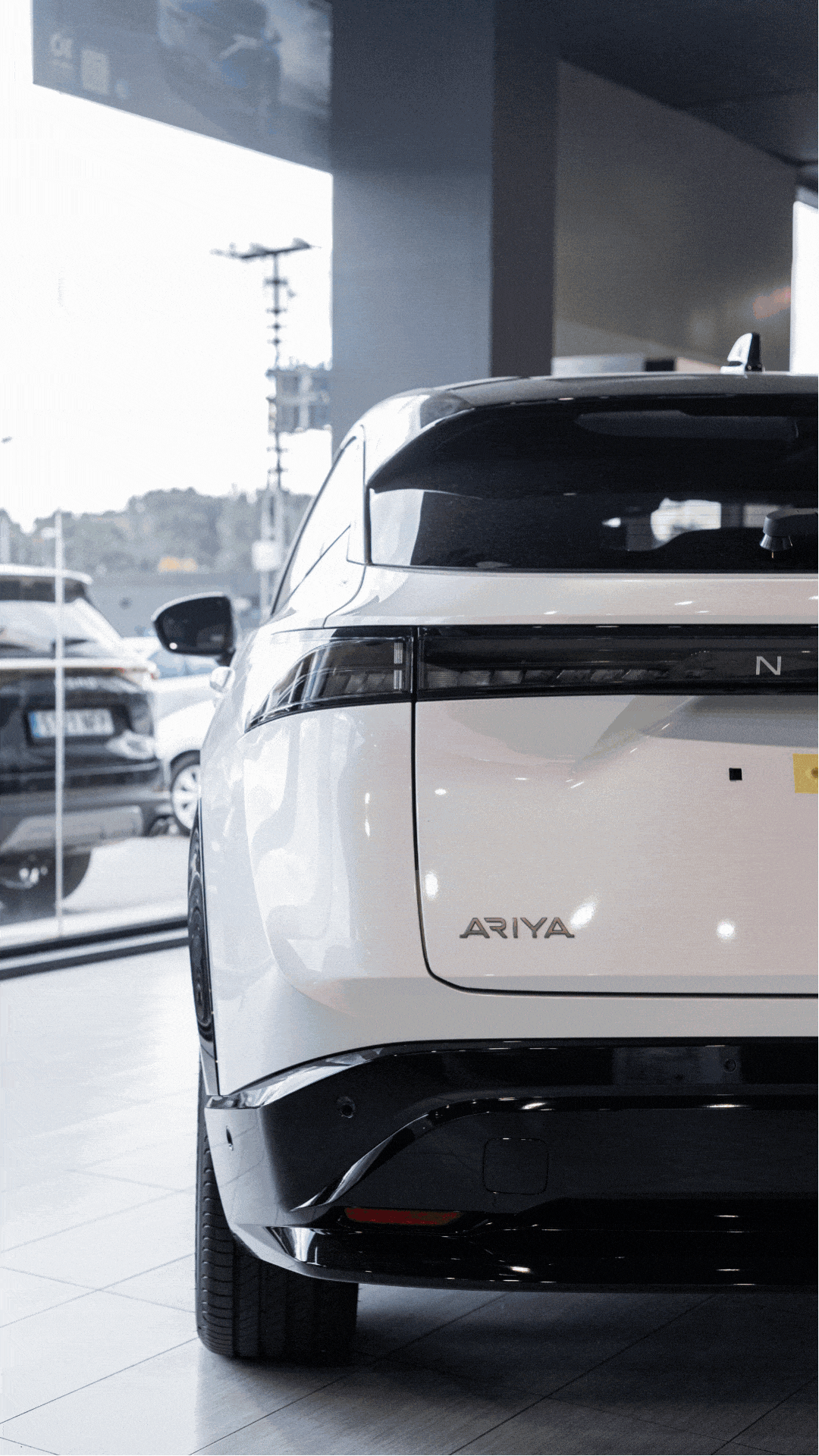 Portfolio Gifs y fotos (6)